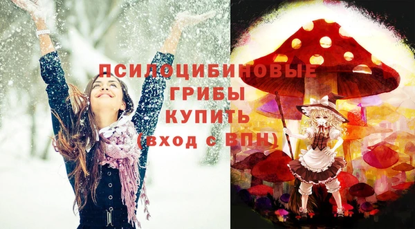тгк Кулебаки
