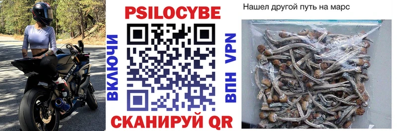 Псилоцибиновые грибы ЛСД  Купить  Севастополь 